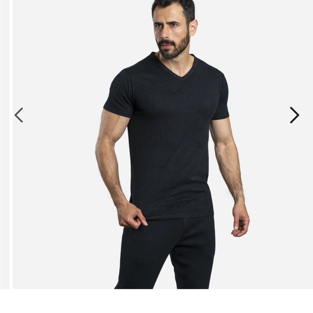 NWOT Men's Alpaca Black V-Neck T-Shirt